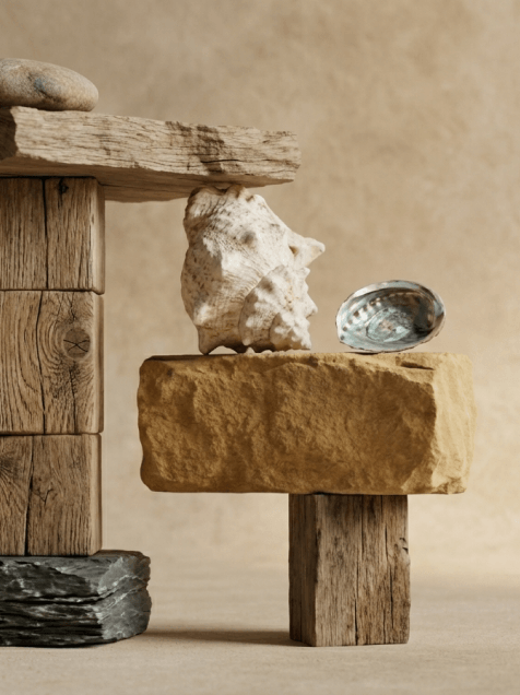 A balanced still life featuring weathered wooden blocks, natural stone, a large conch shell, and an iridescent abalone shell on a beige background.